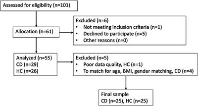 An examination of resting-state functional connectivity in patients with active Crohn’s disease